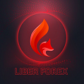 Логотип криптовалюты Libfx