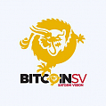 Логотип криптовалюты Bitcoin Cash Satoshi's Vision (Futures)