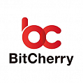 Логотип криптовалюты BitCherry