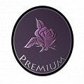 Логотип криптовалюты Premium