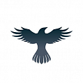 Логотип криптовалюты Raven Protocol