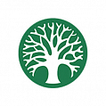 Логотип криптовалюты Artfinity Token