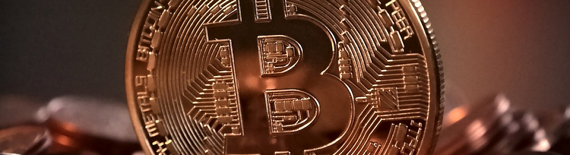 Изображение - Bitcoin проходит стандартный путь рискового актива