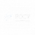 Логотип криптовалюты FOCV